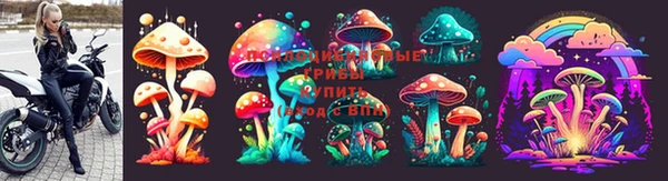 твердый Абинск