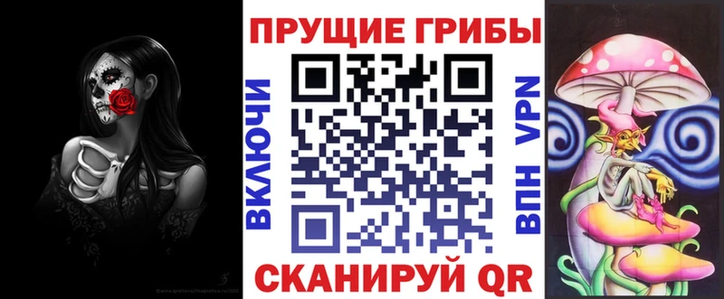 Псилоцибиновые грибы Psilocybine cubensis  кракен зеркало  Торопец  продажа наркотиков 